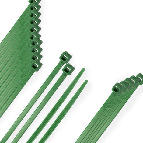 AMXCNOY Bridas Nylon 100% Grün 4,6x390 mm. (Bolsa 100 Stück) (1/4)