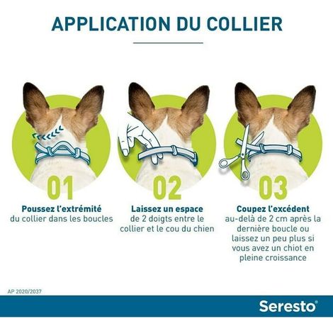 Collier anti-puces et anti-tiques pour chiot (petit chien 38 cm/nouveau modèle américain) (1/5)