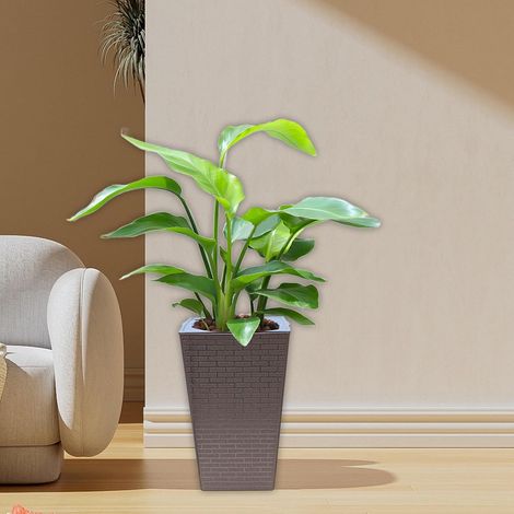 Pot de jardin en plastique de 28 x 18 cm avec système d'irrigation automatique, design moderne, convient aux plantes d'intérieur, couleur beige. (1/5)