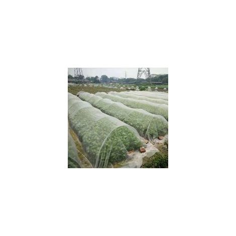 Filet antiinsectes pour plantes, protection antiinsectes, filet en nylon antipoussière, serre potagère, filet antioiseaux, filet pour verger  2,5 x 6 m