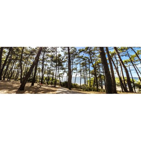 Tableau sur toile forêt d'Arcachon 2 45x135 cm - Impression sur Toile Murale Décorative - Image imprimée en HD sur Toile - Toile sur Châssis en Bois FSC - Fabriqué en France