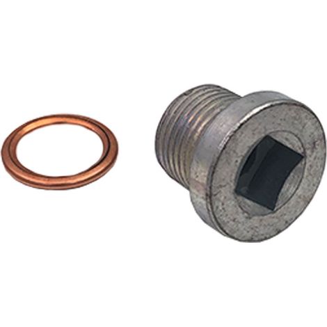 Bouchon de vidange Renault 18 (OE:6084372090) - 3RG