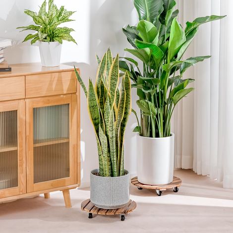 Deux supports pour plantes d'extérieur, plateaux à roulettes pour plantes, étagères de rangement pour plantes (1/5)