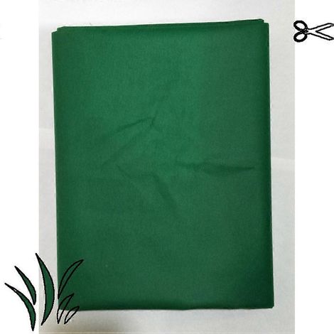 Voile d'hivernage vert pour jardin, compatible avec arbres et plantes, 80 x 120 cm, 1 pièce (1/5)