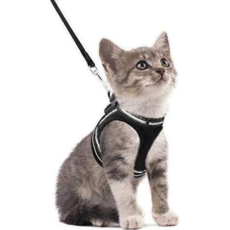 Harnais Chat avec Laisse, Harnais Respirant pour Chaton avec Bandes réfléchissantes Gilet Noir réglables Facile à Mettre (1/4)