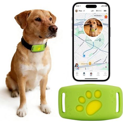 Traceur GPS pour animaux de compagnie - Localisation sans fil - Fonction anti-perte - Résistant à l'eau - Pour chats et chiens - Vert (1/5)