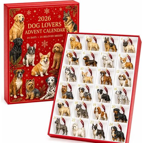 Hunde-Kollektion Adventskalender 2026 2D Überraschungsbox