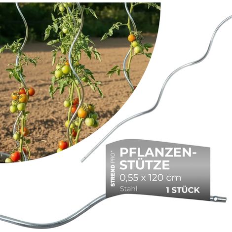 Stab GS1 1200/5,5 mm, spiralförmig, Draht, Zn, Stützstab für Pflanzen und Tomaten (1/4)