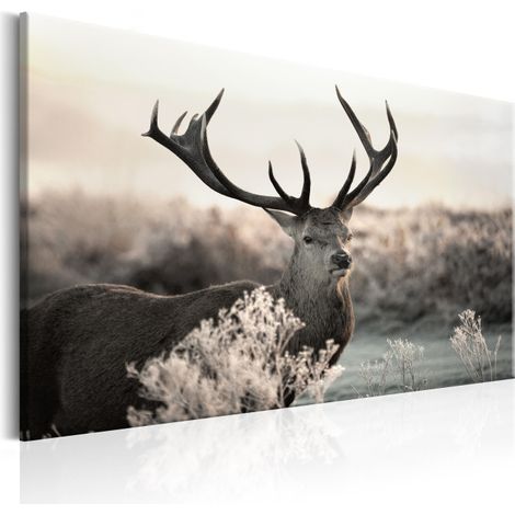 Tableau Imprimé "Powerful Horns" 60 x 90 cm (1/2)
