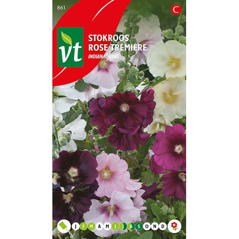 Rose Trémière Aubade - Ca. 0,2 gr (Livraison Gratuite)