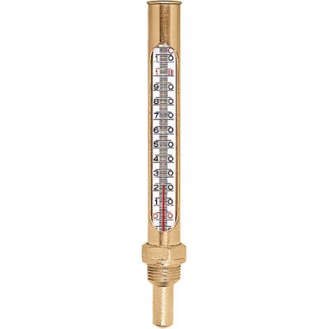 TERMOMETRO IN CUSTODIA 1/2 GRADI 0  °C-120  °C   CALEFFI SPA
