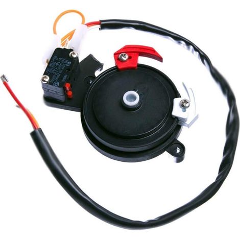 Gruppo finecorsa meccanico BX-243 – 119RIBX041