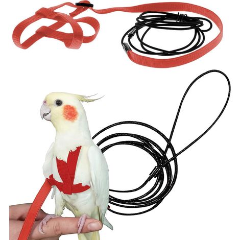 Harnais et laisse de vol pour perroquet taille S rouge, laisse d'entraînement extérieure pour perruche, calopsitte, perroquet gris, harnais de promenade pour oiseau (1/4)