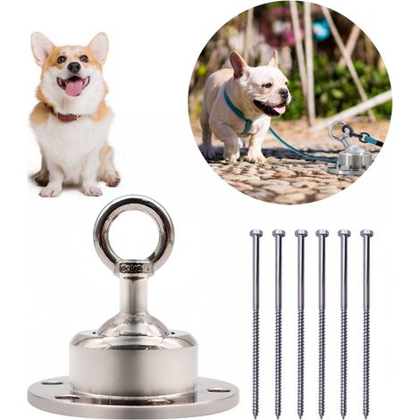 MCBOSON Piquet d'attache pour chien en acier inoxydable (1/5)