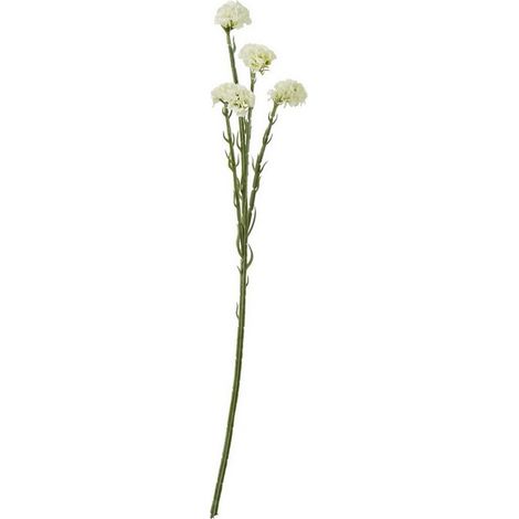Statice Spray (Single Stem Flower) - Plastic - Height 64 cm - Cream