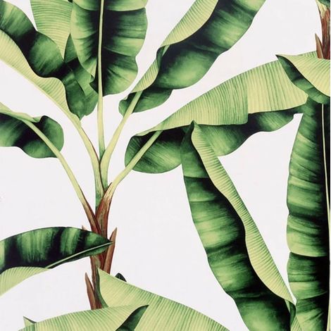 Musa Green Wallpaper Arthouse Modern Tropical Palm Jungle White