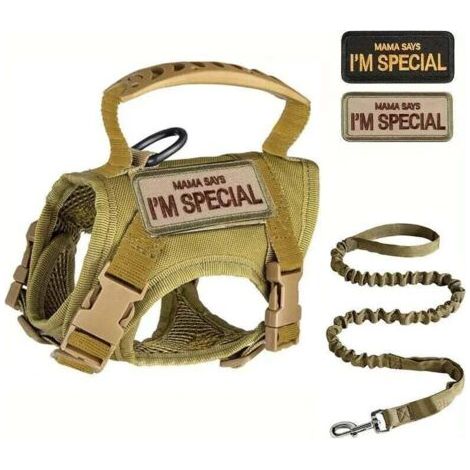 Harnais et laisse tactiques pour chat, anti-fugue, veste de promenade ajustable, gilet rembourré et élégant, kaki, grande taille
