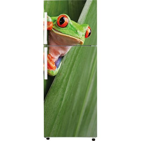 Stickers Frigo - Grenouille - 65x150 cm - Idéal pour frigo 55x150 cm - Adhésif BRILLANT (1/2)