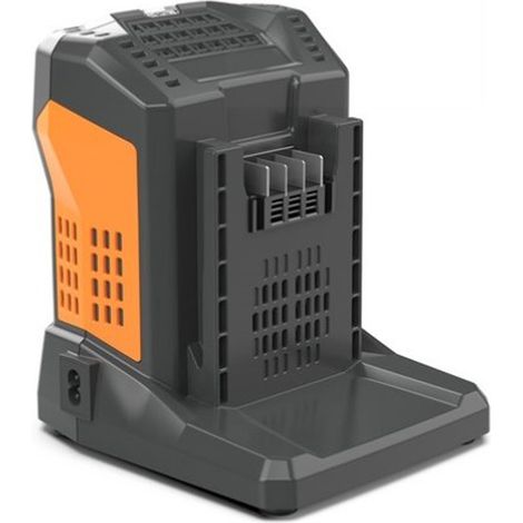 CARICABATTERIA CARICATORE RAPIDO ALIMENTATORE BATTERIA 5,5Ah 60V VALGARDEN