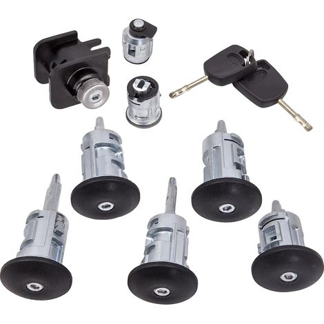 Gruppo serratura sportello accensione, compatibile con Ford Transit Connect, in metallo e plastica resistenti, montaggio standard, include 2 chiavi, sistema di chiusura sicuro (1/5)