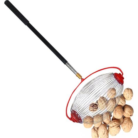Récupérateur de Noix, Cueilleur de Noix, Collecteur de pommes, Ramasse Fruits en Noyer, Ramassez Les N-oix Grand Collecteur N-oix Rouleau Ramasse Châtaignes Noixs Outils Jardin Sélecteur Golf YMYNY L (1/5)
