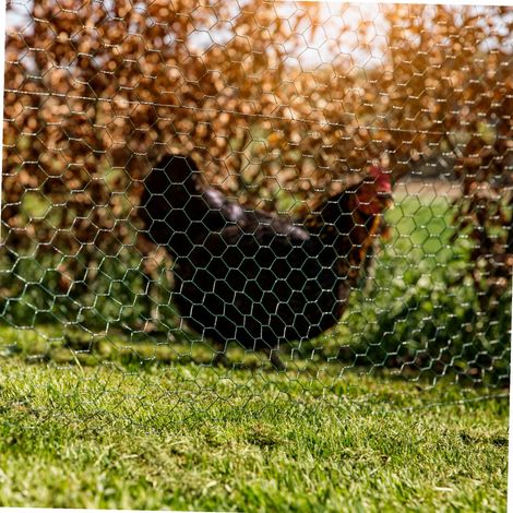 Grillage souple vert 0,5x10m – Mailles 13mm en fil de fer galvanisé – Pour clôtures et supports de plantes – Résistant aux intempéries – Windhager
