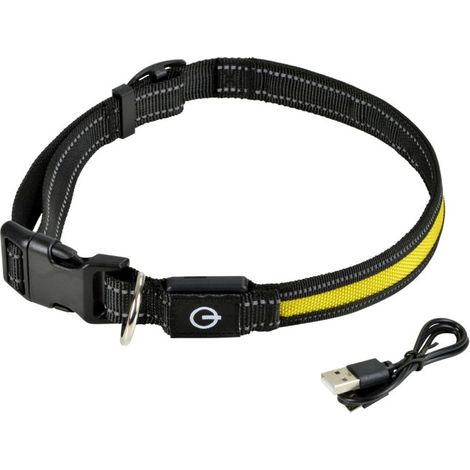 Collier Lumineux Pour Chien "LED" 70cm Jaune (1/5)