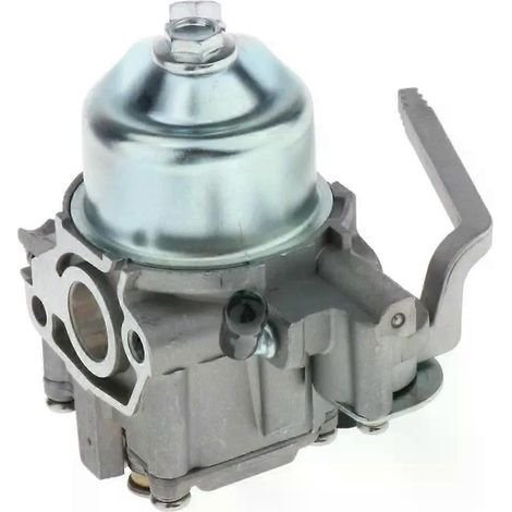 Ensemble carburateur pour moteur marin compatible avec le moteur hors-bord BF2 2HP. (1/4)