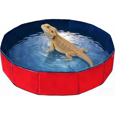 Baignoire pliable pour animaux - Convient aux chiens de toutes tailles, aux chats, aux dragons barbus, au camping, au lavage des légumes et aux petits animaux - Rouge (1/5)