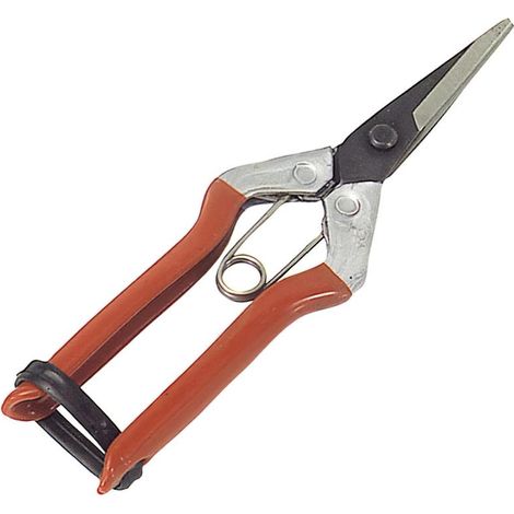 WOLFPACK LINEA PROFESIONAL tijeras recolectar uvas  1 mano  p 1552   180 mm. (1/3)