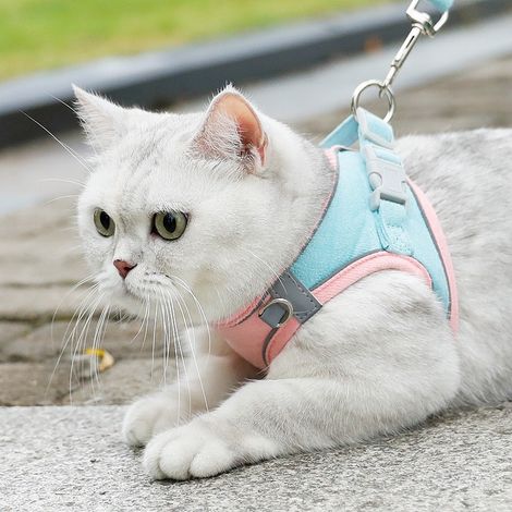 Filiyano-Harnais de poitrine pour animaux de compagnie, style gilet, pour petits chiens, laisse pour chien, corde de promenade, accessoire pour chat (1/5)