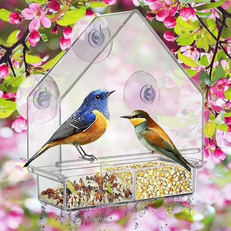 Nichoir suspendu transparent pour fenêtre, mangeoire à oiseaux avec ventouse pour colibris (1/4)