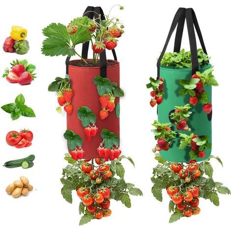 2er-Pack Erdbeer-Anbaubeutel, 3 Gallonen Erdbeer-Anbaubeutel aus Vliesstoff mit Griffen, 12 Pflanzlöcher-Anbaubeutel, hängender Erdbeer-Tomaten-Übertopf Tomatengarten-Gemüsepflanzung (rot + grün) (1/5)