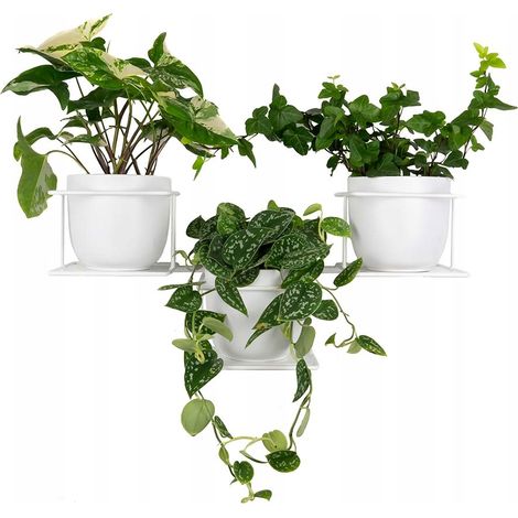 Metallener Pflanzenhänger für 3 Pflanzen, Wanddekoration für Pflanzen, moderner Blumenhalter, Jungle 2 weiß (1/5)