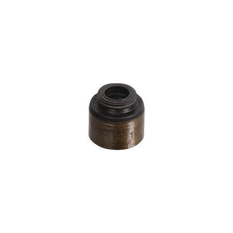 GUARNIZIONE VALVOLA Briggs et Stratton - 795440