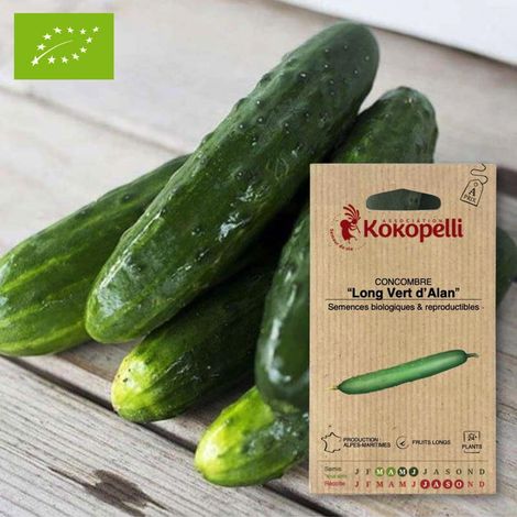 Concombre Long Vert d'Alan