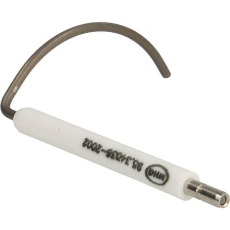 Electrode d'ionisation