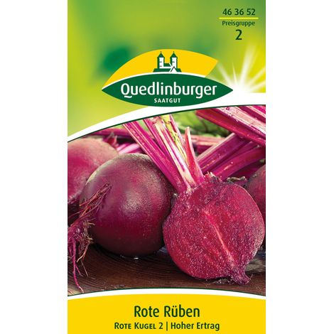 Quedlinburger Saatgut – Betterave rouge Rote Kugel 2 – Graines de légumes, variété ronde très productive, pour env. 10 mètres linéaires (1/2)