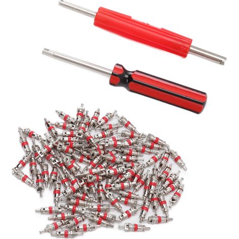 Kit d'outils pour obus de valve avec 100 obus de valve et 2 outils de réparation de valve de pneu pour voiture, camion, SUV, moto et quad. (1/5)