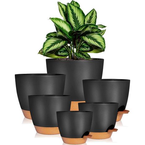 iDattel Selbstbewässerung Blumentopf Set 6er Sukkulenten Kräutertopf Schwarz (1/5)