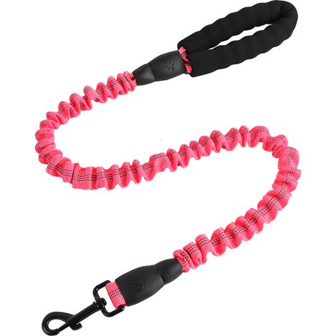 Laisse extensible réfléchissante pour chien, laisse élastique de dressage pour chiens, résistante et ajustable pour promenade et entraînement canin (1/5)