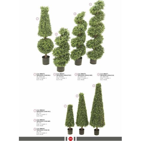 Tree bosso spirale med - bizzotto (1/2)