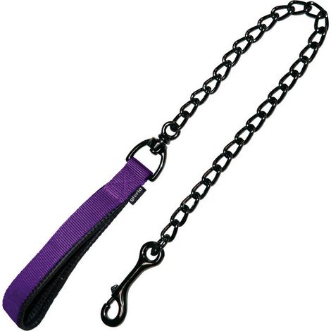 Laisse pour Chien Gloria CLASSIC Violet (3mm x 120 cm)