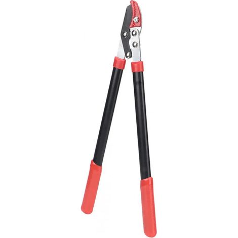 Paire de cisailles de jardin QL branches motorises (1/5)