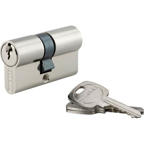 Cylindre de serrure 25x30mm – Protection anti-arrachement – 3 clés fournies – Pour portes de cabanons (1/4)