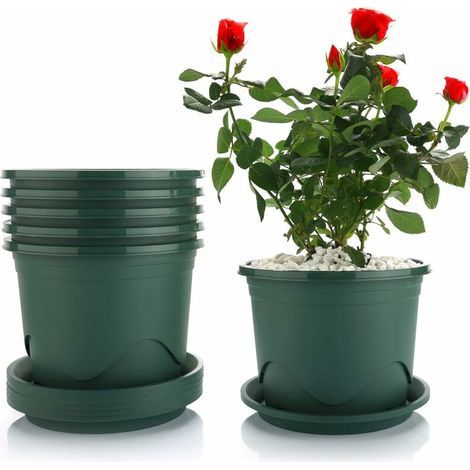 Maceta de plástico de 21 cm con bandeja - Paquete de 6, maceta decorativa para bonsái, plantas suculentas y hierba de aloe (1/4)
