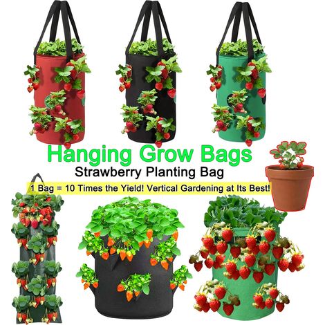 Sacs de culture suspendus (PE vert, 5 trous, 10 pièces) pour fraises et tomates - Jardin vertical - Pot de culture pour fraisiers - Tour aéroponique (1/4)