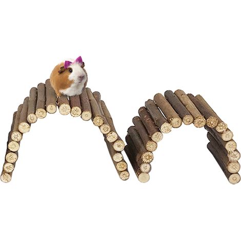 Lot de 2 jouets pour hamster - Grand + Moyen (1/5)