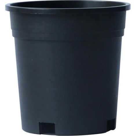 Pot de fleurs, pot de table, fleur séchée (1/5)