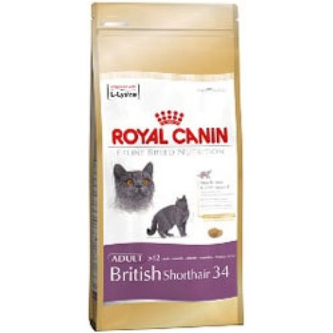 Royal Canin FBN British Shorthair Adulte - croquettes - 10 kg (1/4)